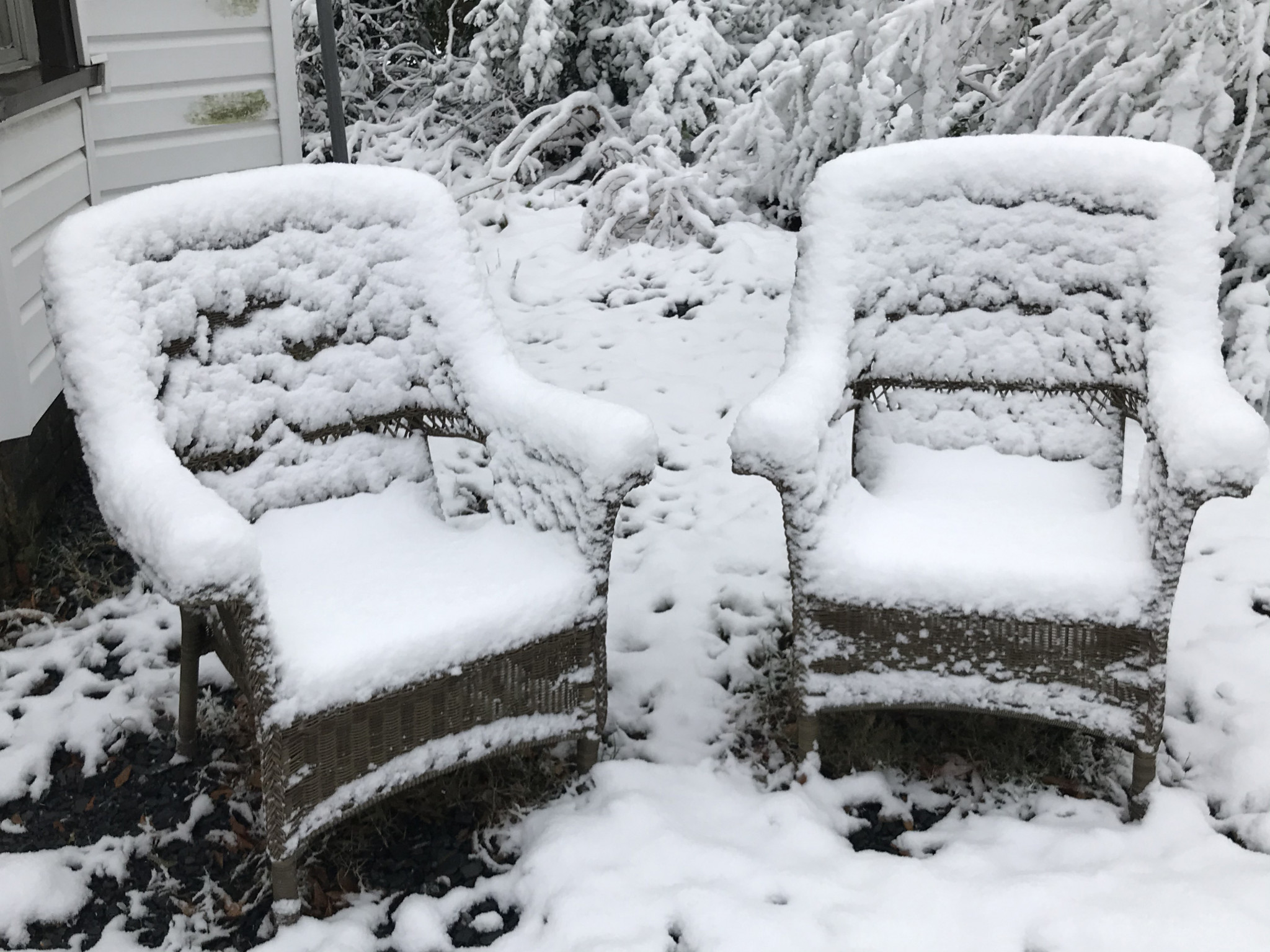 Some frosty chairs on an Evans Street lawn - Leader photo by Caleb Daniel